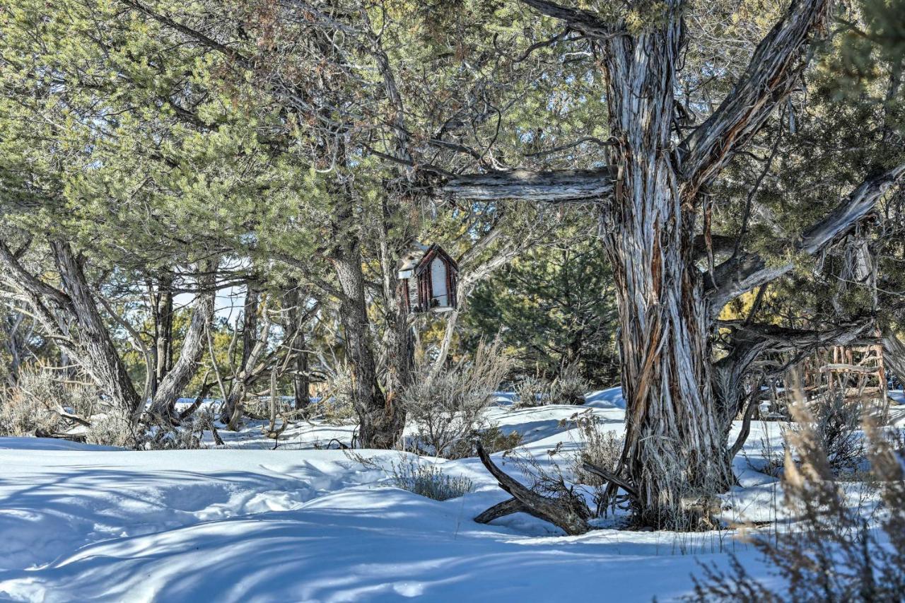 Eagles Landing A Quiet Colorado Mountain Escape Villa Exterior photo